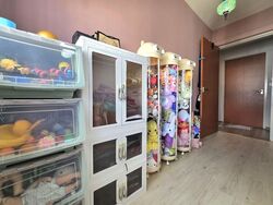 Blk 868B Tampines Greenwood (Tampines), HDB 4 Rooms #533306131